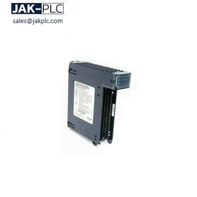 GE Fanuc IC200ERM001 Module