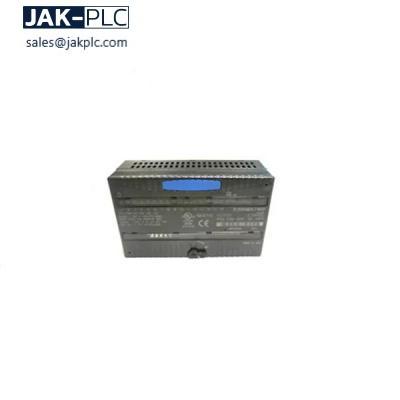 GE Fanuc IC200ALG264E Module