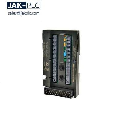 General Electric IC200ALG322D Module